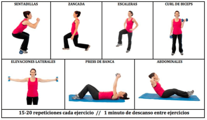 La Diferencia Entre Ejercicio F Sico Y Actividad F Sica Carmenfit